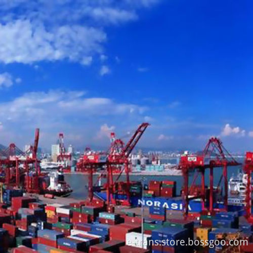 Logistics freight forwarding services of import and export agency servicesNew